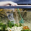 Is Aquarium Glass Tempered?